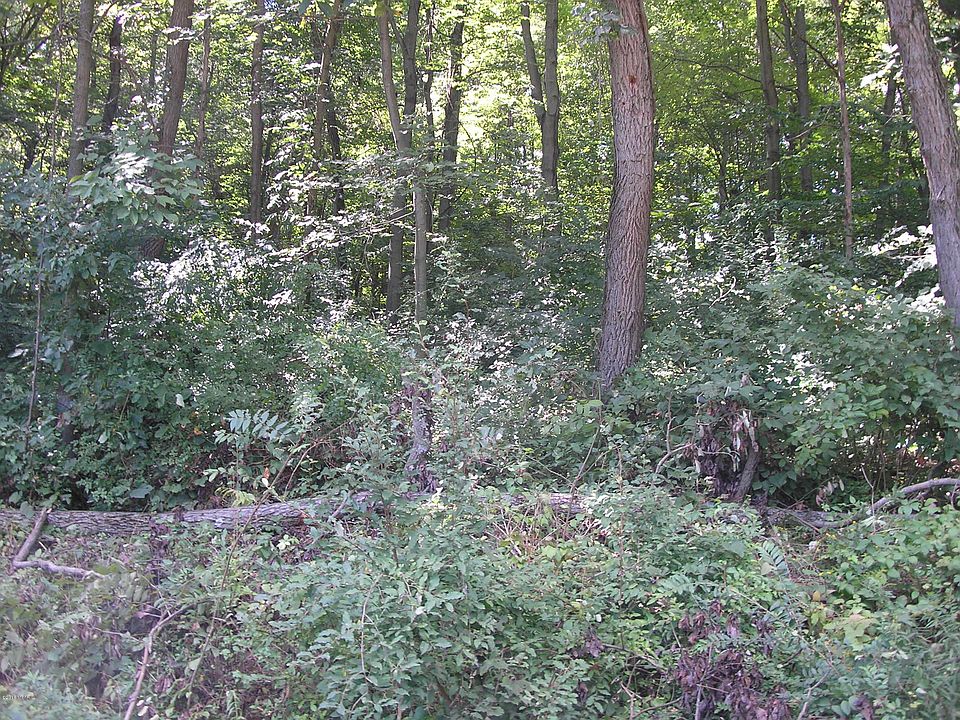 2nd image of 8 County Line Rd
