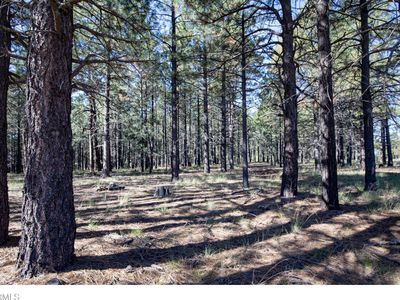 1924 QUILT COUNTRY Drive #781, Forest Lakes, AZ, 85931