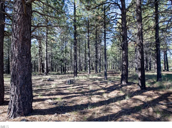 1924 QUILT COUNTRY Drive #781, Forest Lakes, AZ 85931