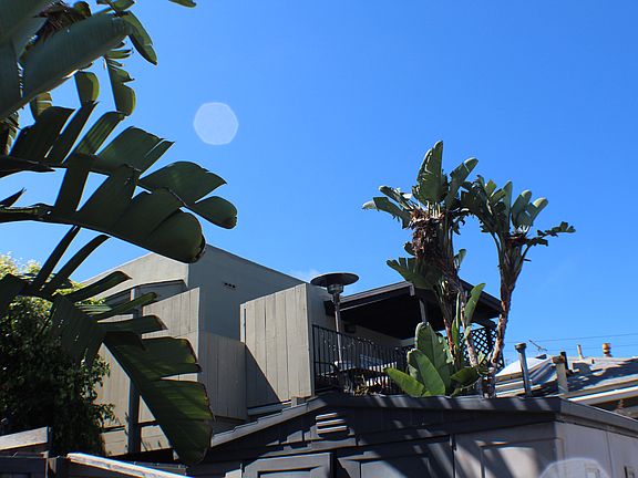 2nd image of 4585 Santa Monica Ave