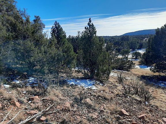 2nd image of 33384 W Lago Cir