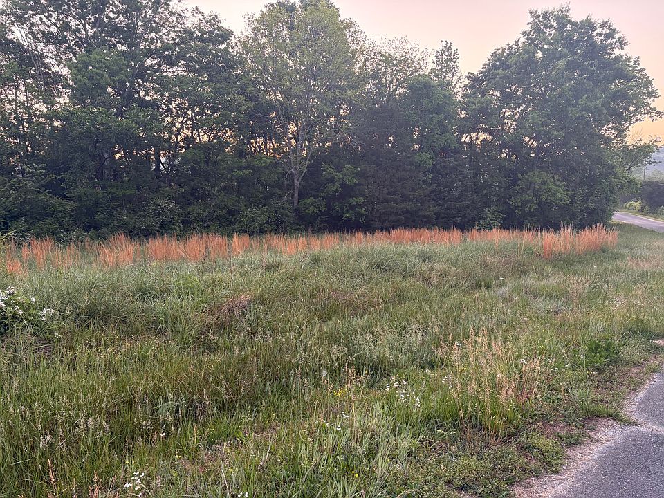 2nd image of 0 Williams Ln