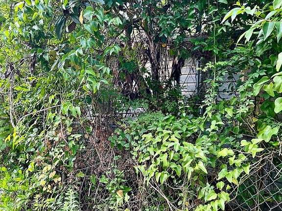 4th image of 925 Gardenia Dr