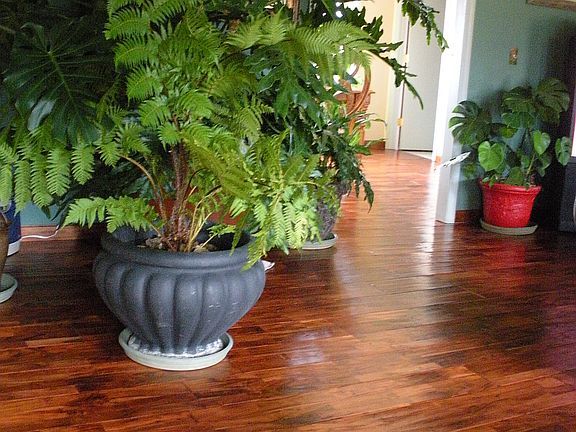 Great room/Family room floor