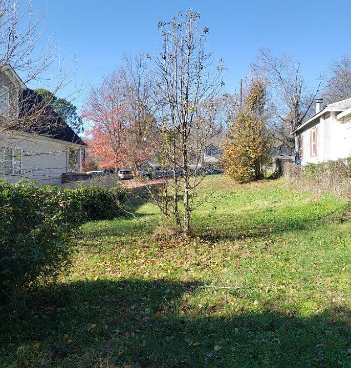 2nd image of 1044 Martin St SE Lot 0