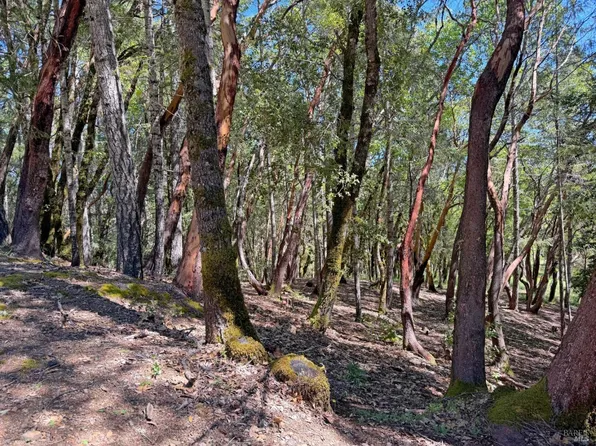 2076 Buckeye Road, Willits, CA 95490