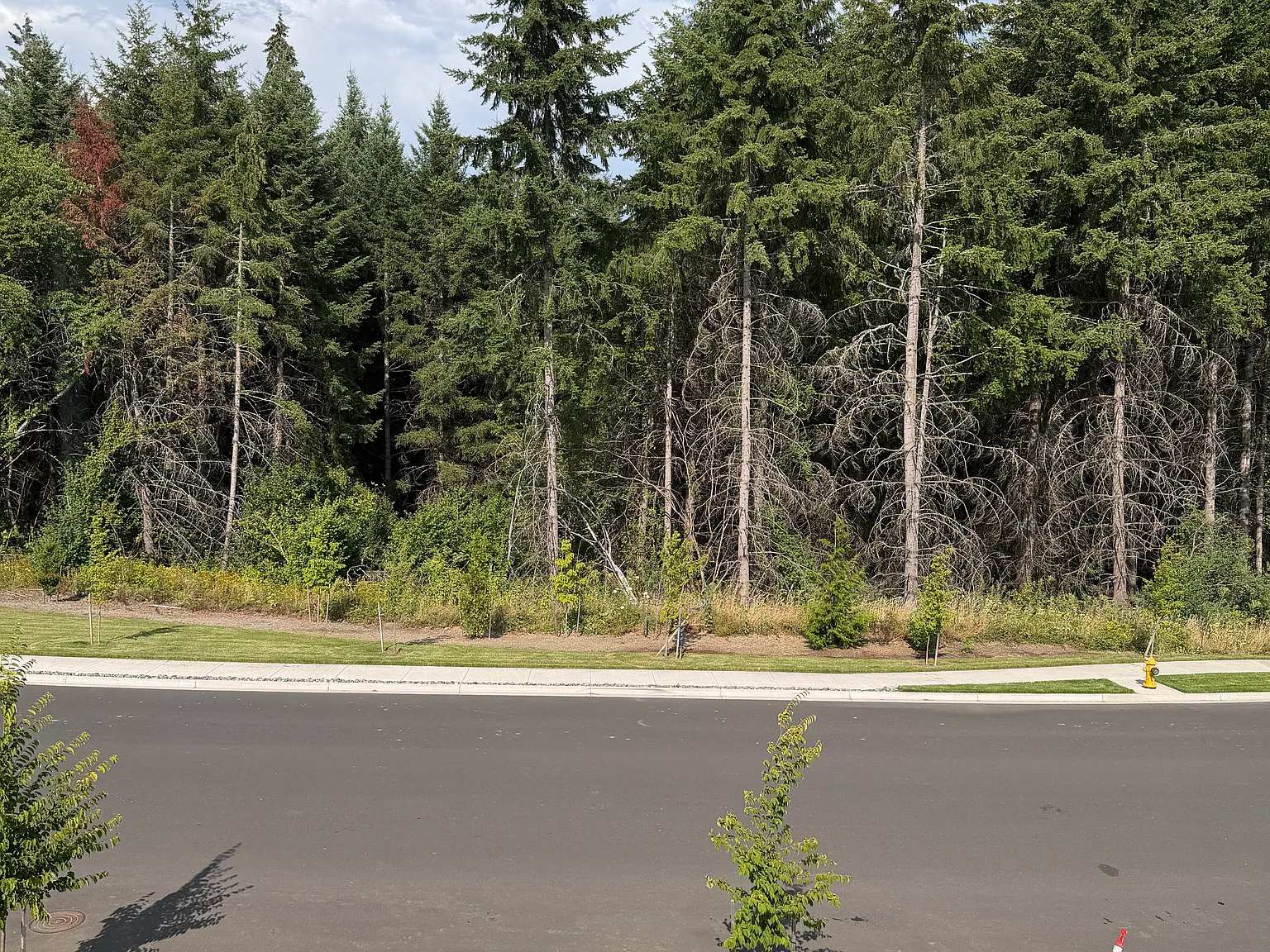 3 bed, 2.5 bath, 1547 sqft, $1,000 — Photo 3