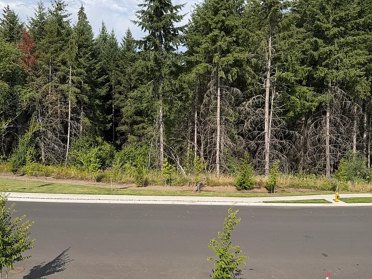 18508 NE 45th Ave — Photo 3