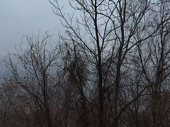 2nd image of 4 Eagle Nest Dr Unit 1