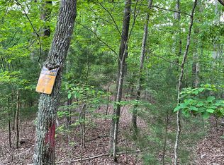 South Rd, Morganton, GA 30560