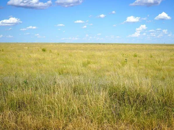 0 Road 20, Syracuse, KS 67878