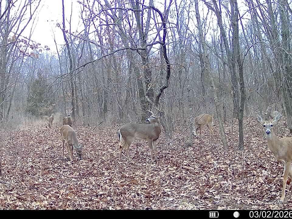 1st image of (Undisclosed Address)