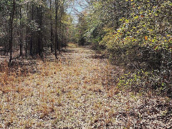 5th image of 0 Marvin Church Rd