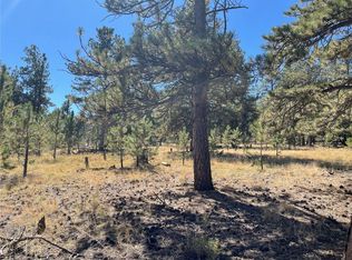 118 Haystack Rd, Hartsel, CO 80449