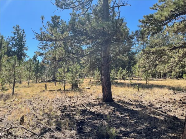 118 Haystack Road, Hartsel, CO 80449