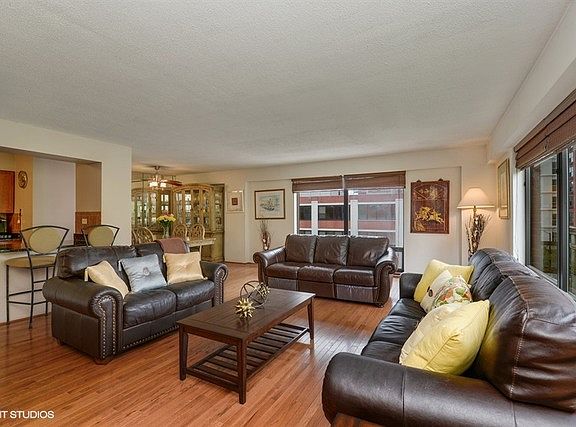 5th image of 1115 S Plymouth Ct APT 501