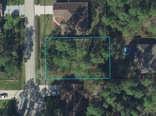 9 Rainmill Pl, Palm Coast, FL 32164