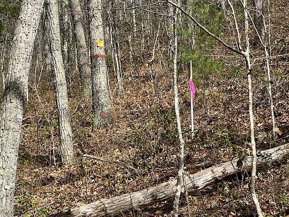 5th image of 0 Catawba Valley Dr