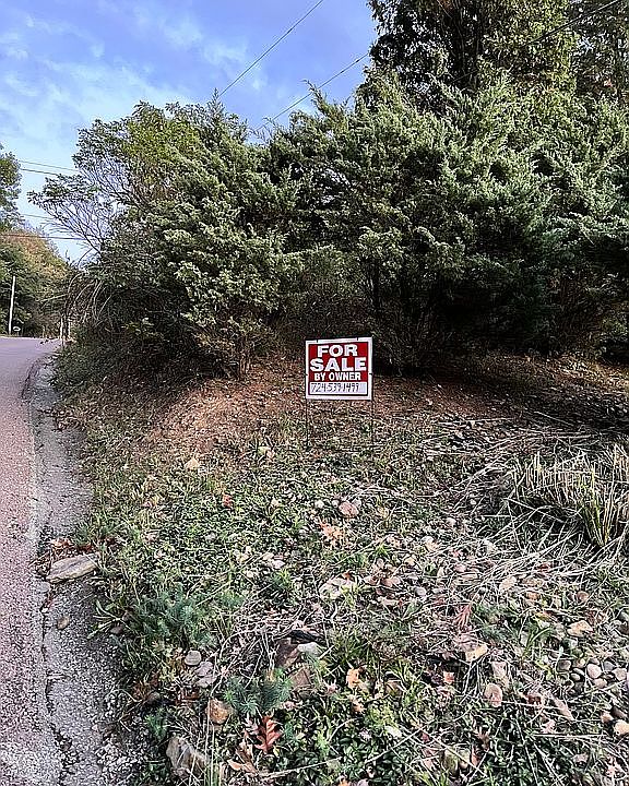 2nd image of 0 Youngstown Ridge Rd #A47-b118