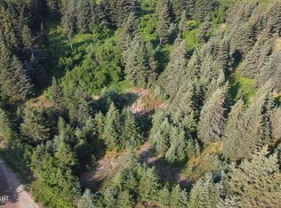 1170 Skagit Cir, Homer, AK 99603