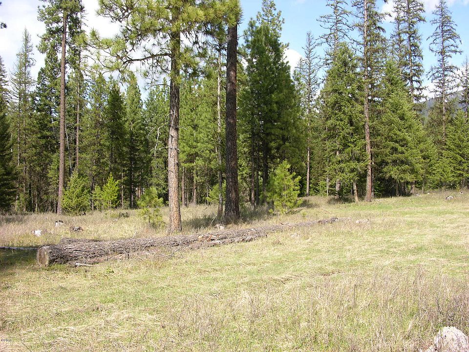 1st image of Nhn Pine Tree Ln