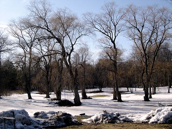 1.2 Acres of Play area!
