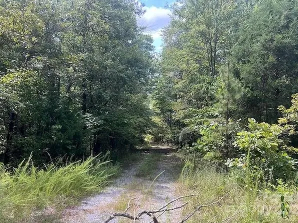 0 Blue Branch Rd Tract D, Gaffney, SC 29340