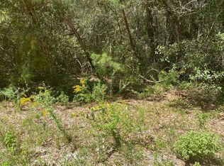 305 S Holly Ave, Florahome, FL 32140