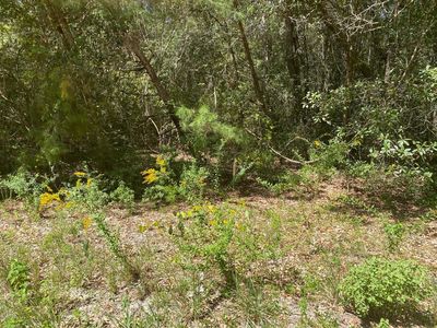 305 S Holly Ave, Florahome, FL, 32140