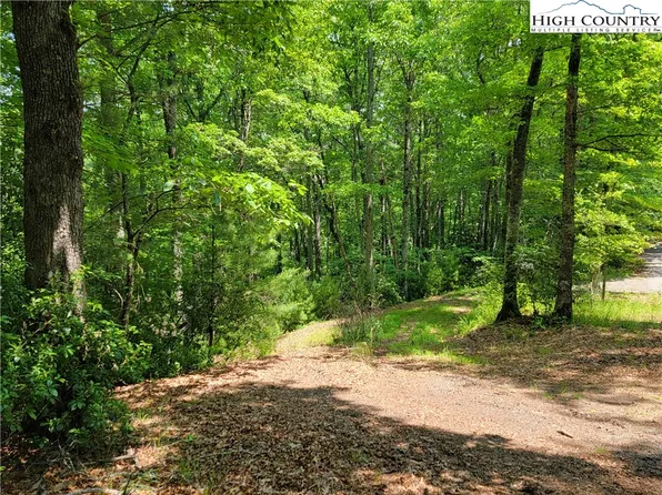 TBD (2.813A) Eagle Drive, Fleetwood, NC 28626