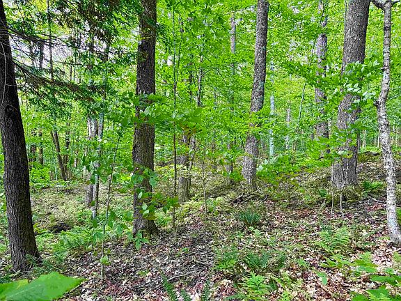 4th image of 0 North Road