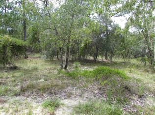 0 SW Pinto Pl, Dunnellon, FL 34431