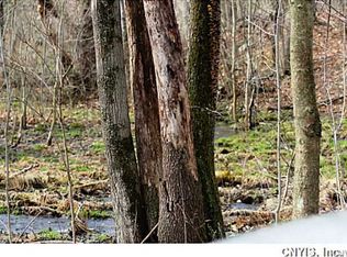 0 Pumphouse Rd, Mexico, NY 13114