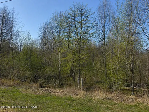 Buttonbush Ln, Hazleton, PA 18202