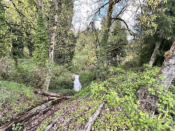 2nd image of NW Saint Helens Rd