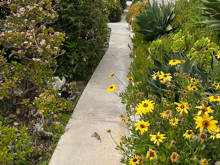 Walkway to laundry room and common areas