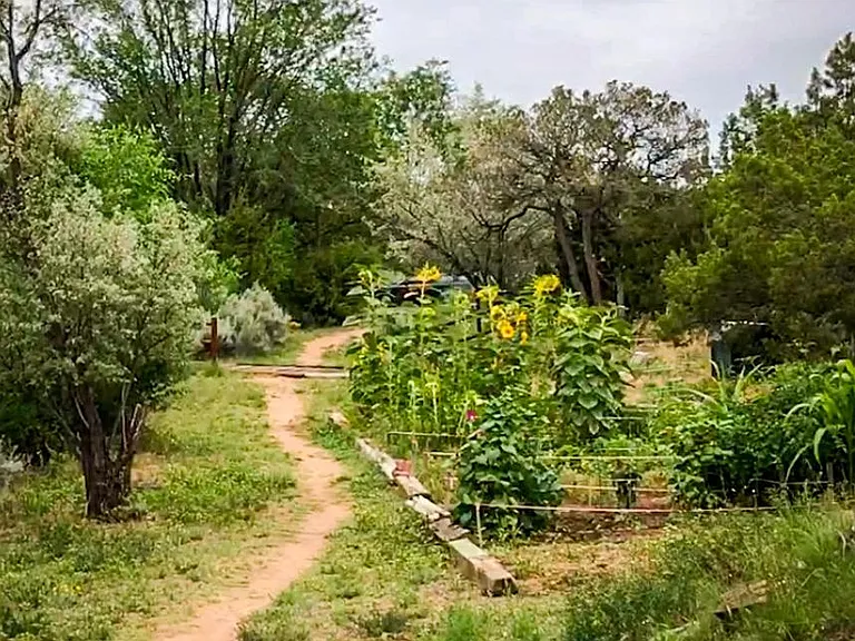 Community garden