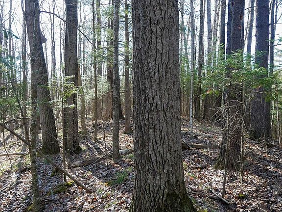 4th image of +/-5 Acres SALEM LAKE ROAD