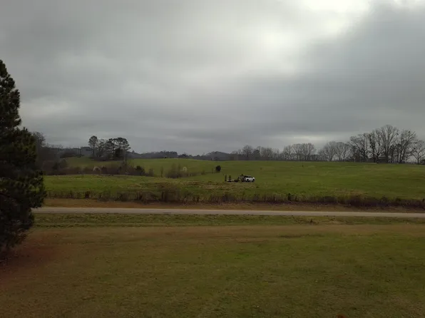 0 County Road 87 #1, Roanoke, AL 36274