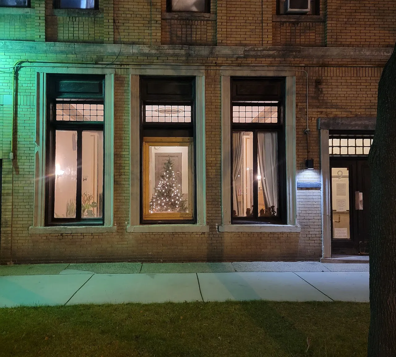 9 Woodland Apartments — Photo 2