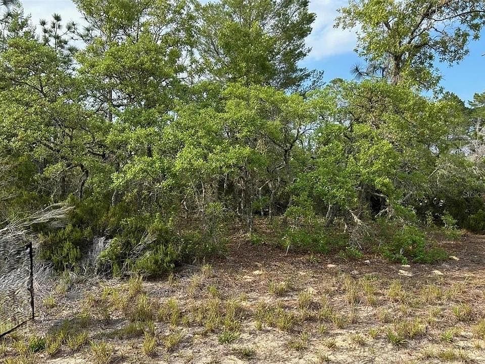 2nd image of 2923 W PINTADO DRIVE LOT 8