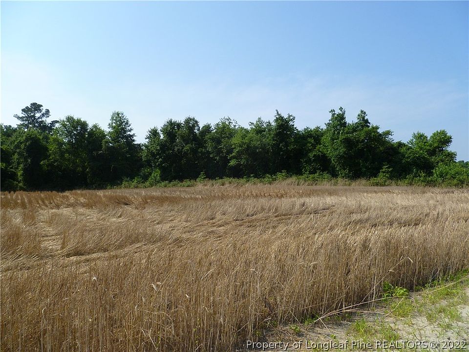 2nd image of Shannon Rd