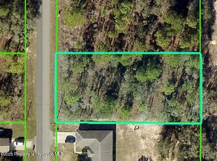 15234 Pomp Pkwy, Brooksville, FL 34614