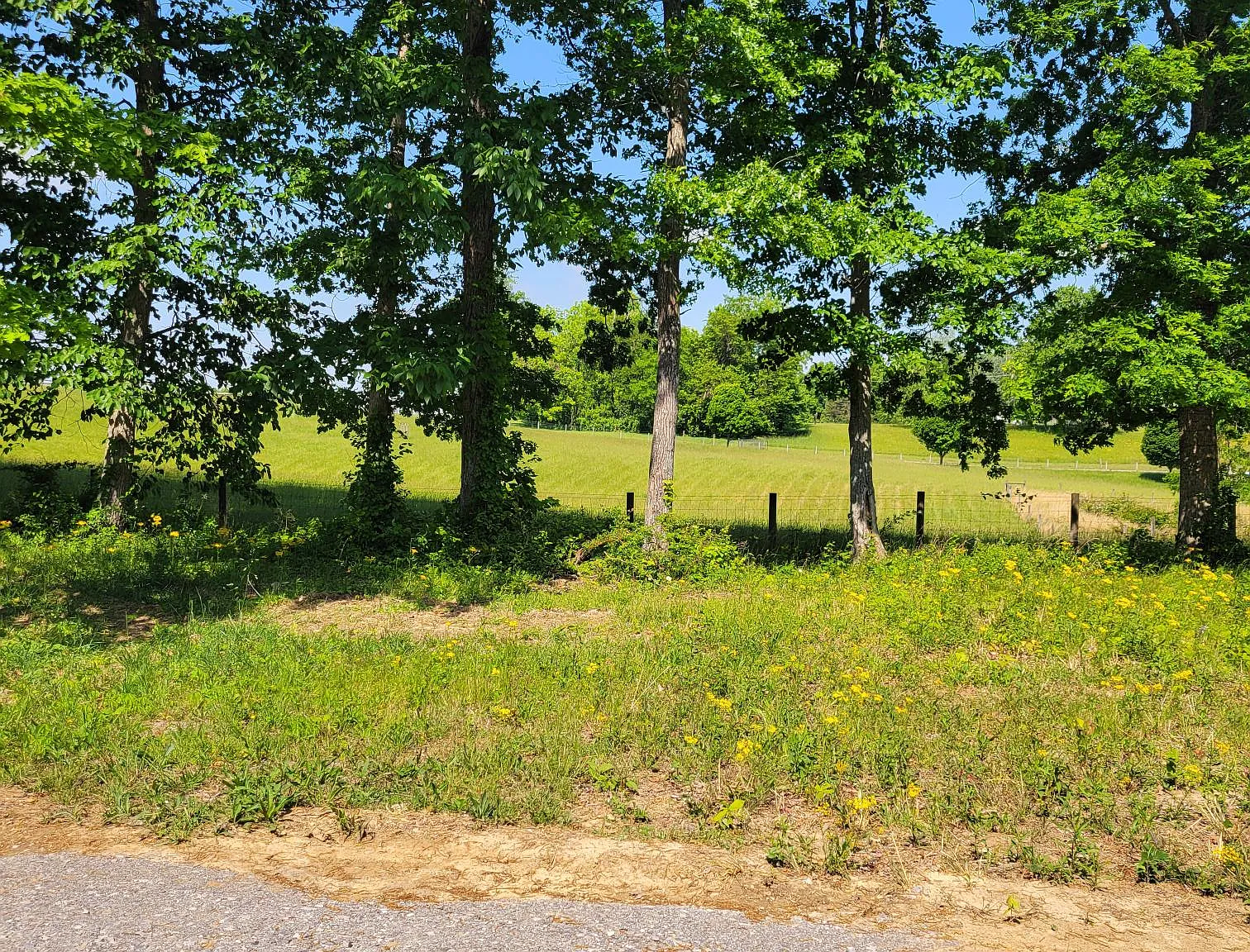 75 Everett Lane - . — Photo 3