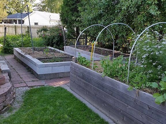 Five raised beds for veggies