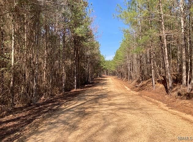 2nd image of 1 Tilly Branch Rd