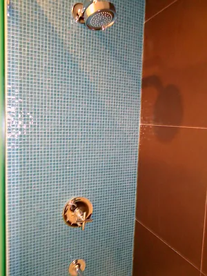 Rented by Fiddler Realty | media 50