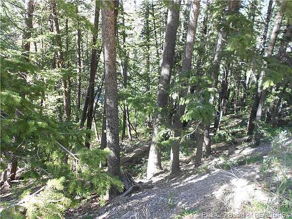 5th image of 470 Evergreen Cir #I57