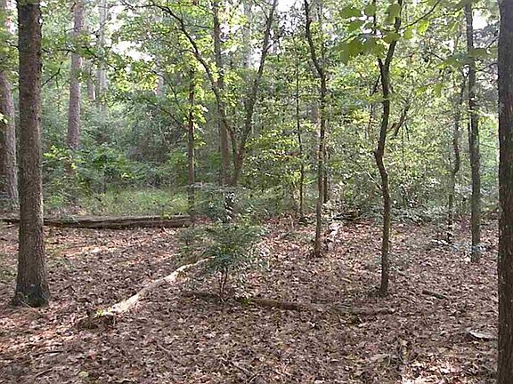 4th image of LOT 98 W Holly Trl #98