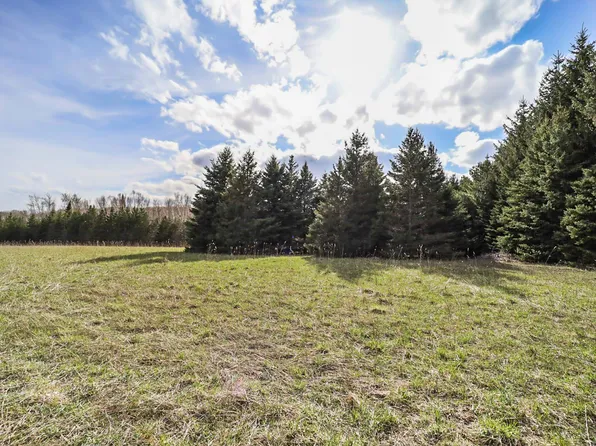 0 Essex Rd, Ellsworth, MI 49729